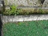 image of grave number 206820